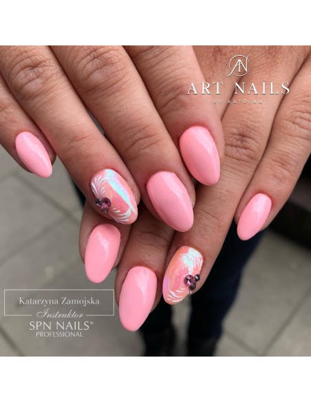 #291 Hybrid polish NaiLac 7ml