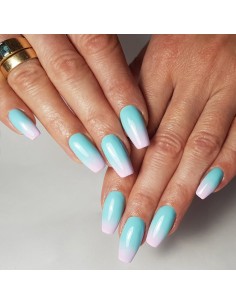 #335 Lakier hybrydowy NaiLac 2