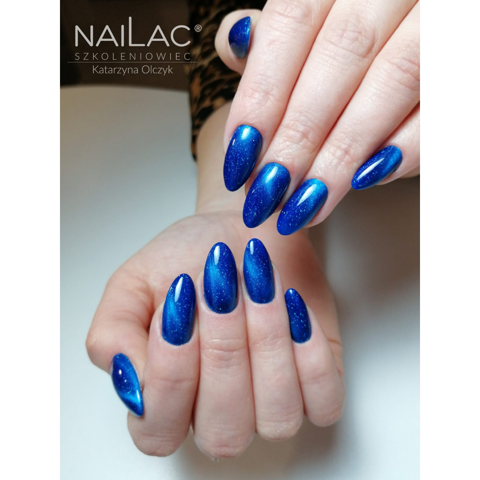 Lakier hybrydowy Cat Eye 5D #008...