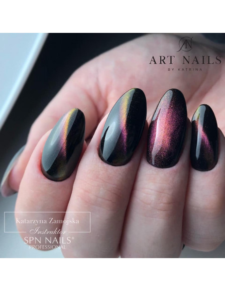 Cat Eye 5D #004 NaiLac 7ml