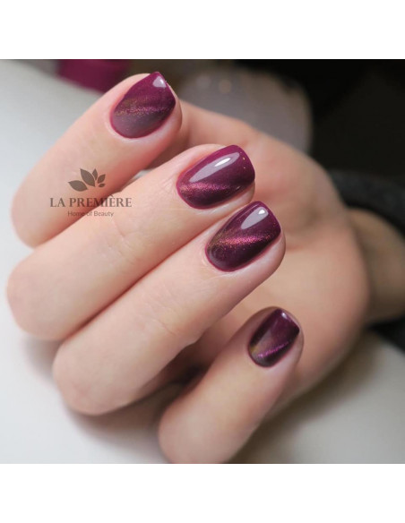Lakier hybrydowy Cat Eye 5D #004 NaiLac 7ml