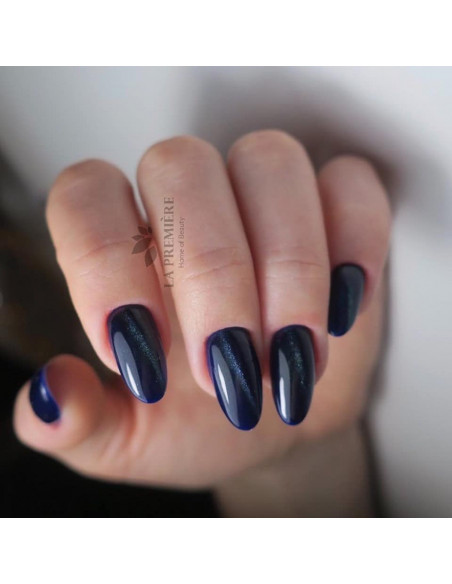 Lakier hybrydowy Cat Eye 5D #008 NaiLac 7ml